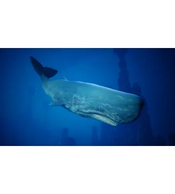 Гра Maneater Apex Edition для ПК (Ключ активації Epic Games)