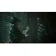 Доповнення Cyberpunk 2077 - Phantom Liberty для ПК (Ключ активації GOG)