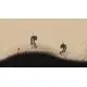 Доповнення Rain World: The Watcher для ПК (Ключ активації Steam)