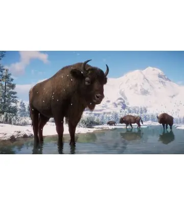 Дополнение Planet Zoo: Eurasia Animal Pack для ПК (Ключ активации Steam)