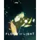 Игра Flood of Light для ПК (Ключ активации Steam)