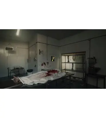Игра DESOLATIUM для ПК (Ключ активации Steam)