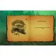 Гра Doodle Kingdom для ПК (Ключ активації Steam)