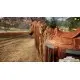 Дополнение Animal Shelter - Horse Shelter DLC для ПК (Ключ активации Steam)