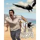 Игра Pie in the Sky для ПК (Ключ активации Steam)