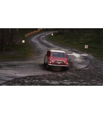 Гра Assetto Corsa Rally для ПК (Ключ активації Steam)