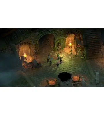 Дополнение Pillars of Eternity II: Deadfire - Seeker, Slayer, Survivor для ПК (Ключ активации Steam)
