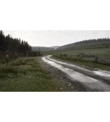 Гра Assetto Corsa Rally для ПК (Ключ активації Steam)