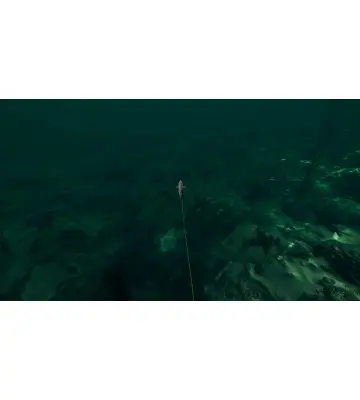 Дополнение Ultimate Fishing Simulator - Florida для ПК (Ключ активации Steam)