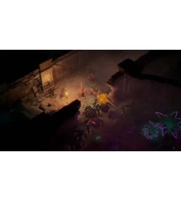 Доповнення Pathfinder: Kingmaker - Royal Ascension для ПК (Ключ активації Steam)