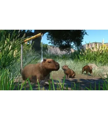Дополнение Planet Zoo: Wetlands Animal Pack для ПК (Ключ активации Steam)