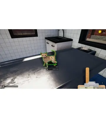 Доповнення Animal Shelter - Puppies & Kittens DLC для ПК (Ключ активації Steam)