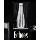 Игра Echoes для ПК (Ключ активации Steam)