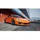 Дополнение Assetto Corsa - Porsche Pack II для ПК (Ключ активации Steam)