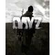 Игра DayZ для ПК (Ключ активации Steam)