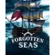 Гра Forgotten Seas для ПК (Ключ активації Steam)