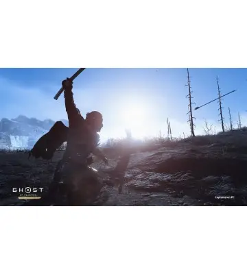 Игра Ghost of Tsushima DIRECTOR'S CUT для ПК (Ключ активации Steam)