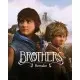 Игра Brothers: A Tale of Two Sons Remake для ПК (Ключ активации Steam)