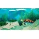 Гра Mythic Ocean для ПК (Ключ активації Steam)