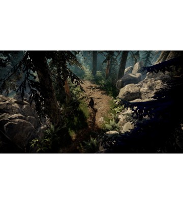 Игра V Rising для ПК (Ключ активации Steam)