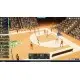 Игра Pro Basketball Manager 2026 для ПК (Ключ активации Steam)