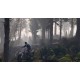 Игра Grand Theft Auto V для ПК (Ключ активации Rockstar)
