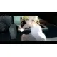 Гра Catherine Classic  для ПК (Ключ активації Steam)