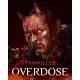 Гра Painkiller: Overdose  для ПК (Ключ активації Steam)
