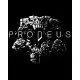Гра Prodeus  для ПК (Ключ активації Steam)