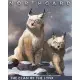 Доповнення Northgard - Brundr & Kaelinn, Clan of the Lynx  для ПК (Ключ активації Steam)