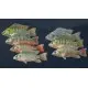Дополнение Ultimate Fishing Simulator - Kariba Dam DLC для ПК (Ключ активации Steam)