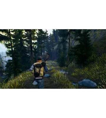 Гра Open Country  для ПК (Ключ активації Steam)