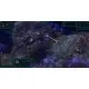 Гра Ashes of the Singularity: Escalation  для ПК (Ключ активації Steam)
