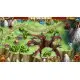Игра Roman Adventures: Britons. Season 2 для ПК (Ключ активации Steam)