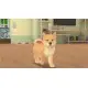 Гра My Universe - Puppies & Kittens  для ПК (Ключ активації Steam)