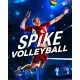 Игра Spike Volleyball для ПК (Ключ активации Steam)