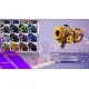 Дополнение Worms Rumble - Armageddon Weapon Skin Pack для ПК (Ключ активации Steam)