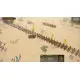 Дополнение Field of Glory II: Swifter than Eagles для ПК (Ключ активации Steam)