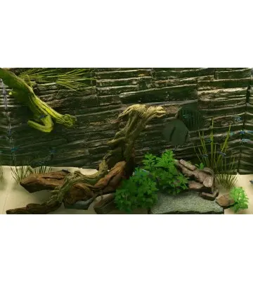 Игра Biotope для ПК (Ключ активации Steam)