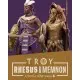Доповнення A Total War Saga: TROY - Rhesus & Memnon  для ПК (Ключ активації Steam)