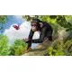 Гра Zoo Tycoon: Ultimate Animal Collection  для ПК (Ключ активації Steam)