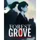 Гра Forest Grove для ПК (Ключ активації Steam)