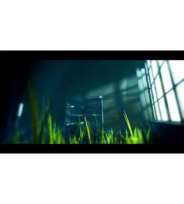 Игра Acanthoceras для ПК (Ключ активации Steam)