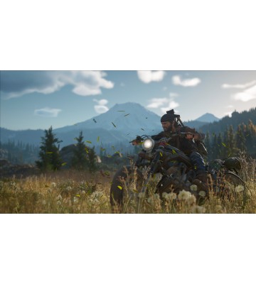 Гра Days Gone  для ПК (Ключ активації Steam)
