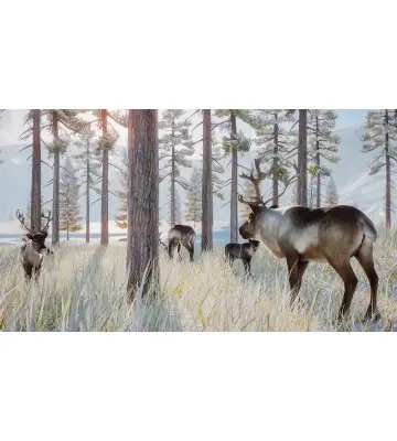 Доповнення Planet Zoo: Arctic Pack  для ПК (Ключ активації Steam)