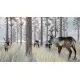 Доповнення Planet Zoo: Arctic Pack  для ПК (Ключ активації Steam)