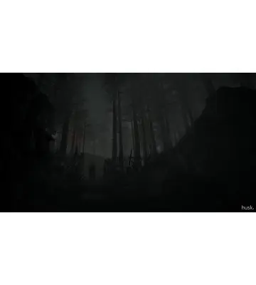 Игра Husk для ПК (Ключ активации Steam)