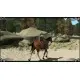 Гра Two Worlds - Epic Edition  для ПК (Ключ активації Steam)