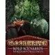 Доповнення Gloomhaven - Solo Scenarios: Mercenary Challenges  для ПК (Ключ активації Steam)