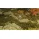 Доповнення Pathfinder: Wrath of the Righteous - The Lord of Nothing для ПК (Ключ активації Steam)